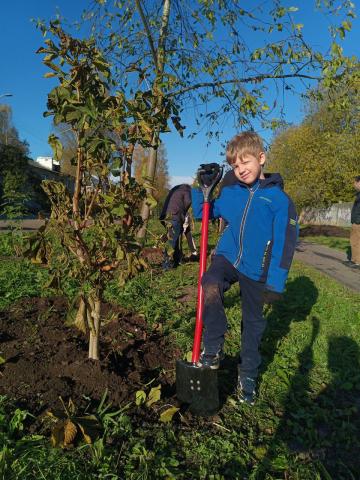 Вместе мы сажаем будущее