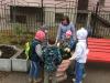 День благоустройства 